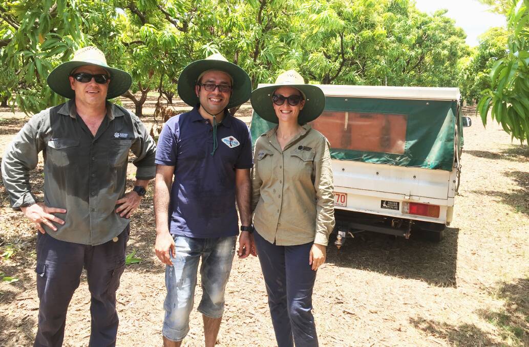 IN FIELD: NT Government technical officer Alan Niscioli, PhD Candidate Umar Muhammad and NT Government technical officer, Maddison Clonan. 
