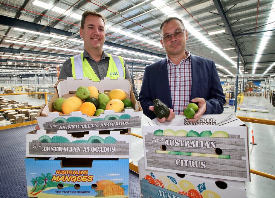 RANGE: Oji Fibre Solutions' Alan Haylett and Qld state sales manager, Jason Cairns Lawrence, with just some of the packaging solutions the company provides for the fresh produce industry. 