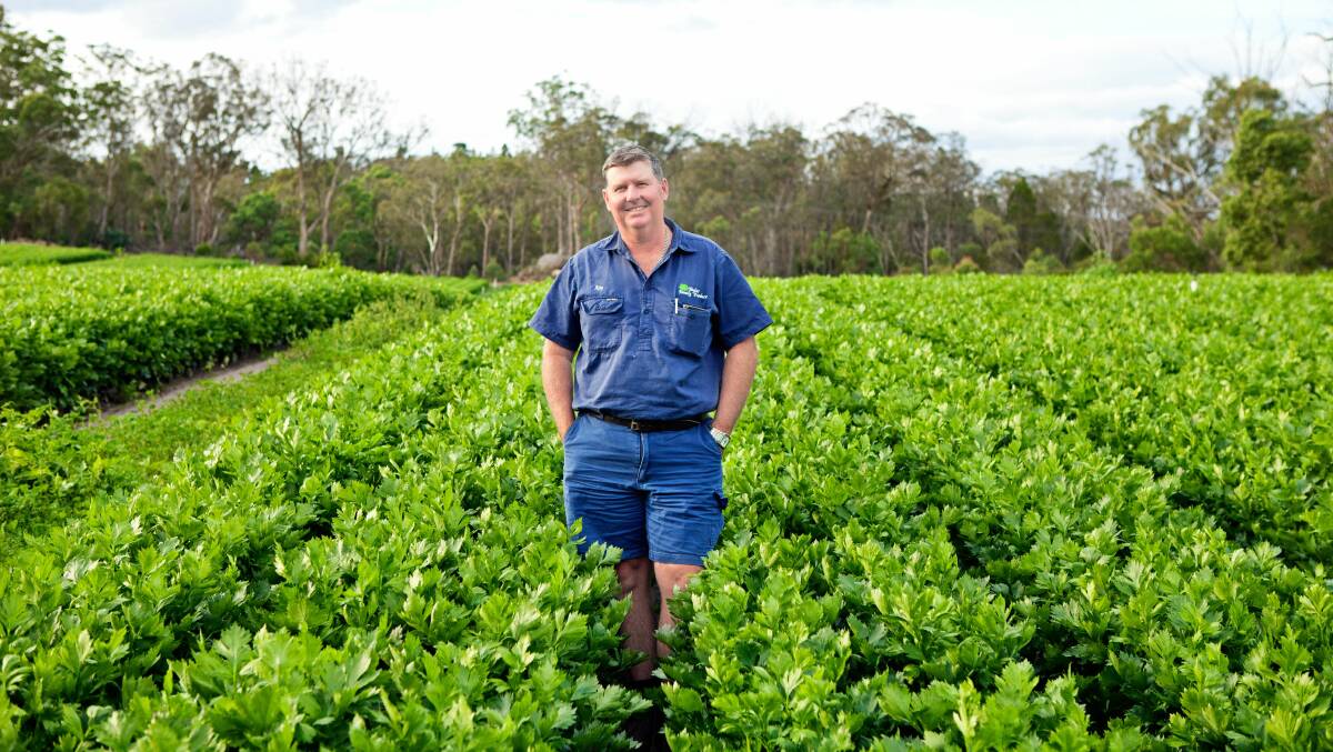 GROWER: Ray Taylor, business owner of Taylor Family Produce based near Stanthorpe, Qld