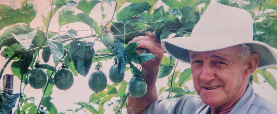 PIONEER: Australian passionfruit industry pioneer, the late Noel Day, whose work has been acknowledged through a scholarship for emerging growers. 