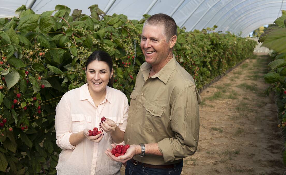 FAMILY: Rebecca Scurr and her father, Gavin, of the family owned Pinata Farms with BerryWorld raspberries.
