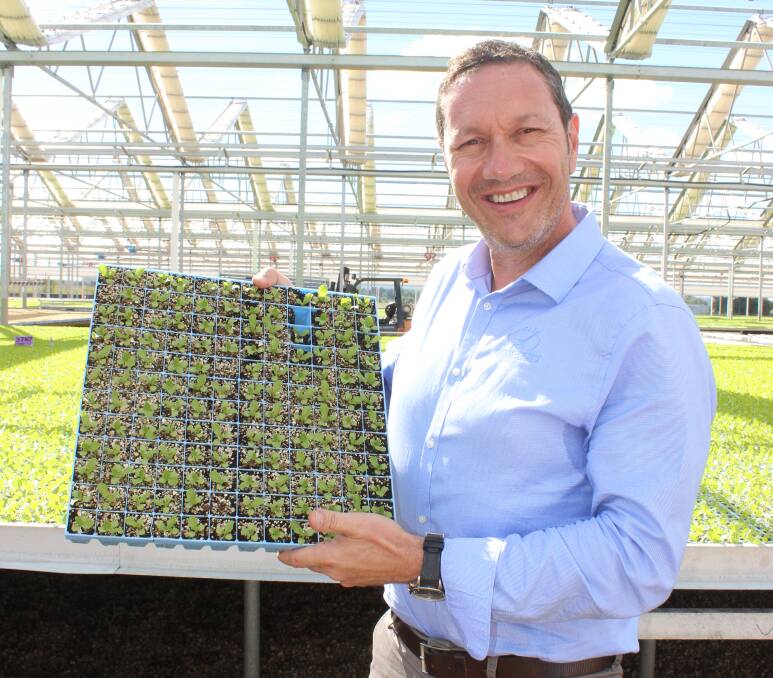 POSITION: Fresh Select co-founder John Said has taken up the chairman role at the Australian Fresh Produce Alliance. 