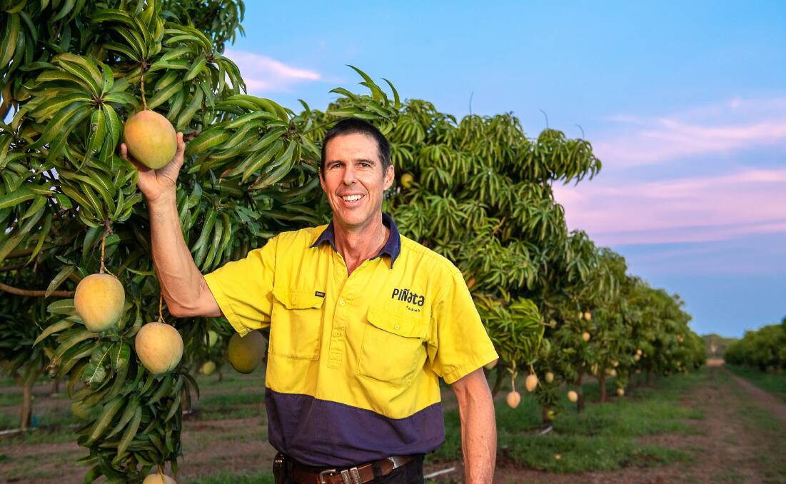 TRUST: Queensland Honey Gold mango grower Stephen Scurr, Pinata Farms, is part of a billboard campaign encouraging consumers to trust the farmer. 