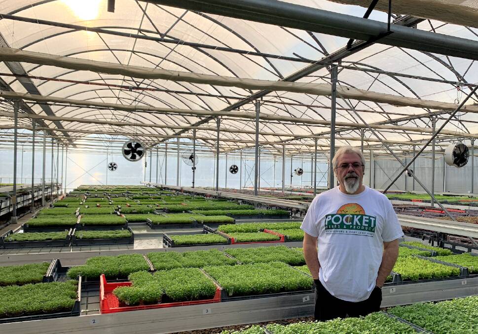 CONTRACT: Pocket Herbs founder, Iain Reynolds at his Burringbar micro herb, near Tweed Heads. The business has become a supplier of herbs to Coles. 