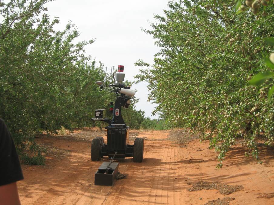 ON TARGET: One of the Australian-made robots begins to make its way into an almond orchard to monitor fruit set and areas of substandard pollination.