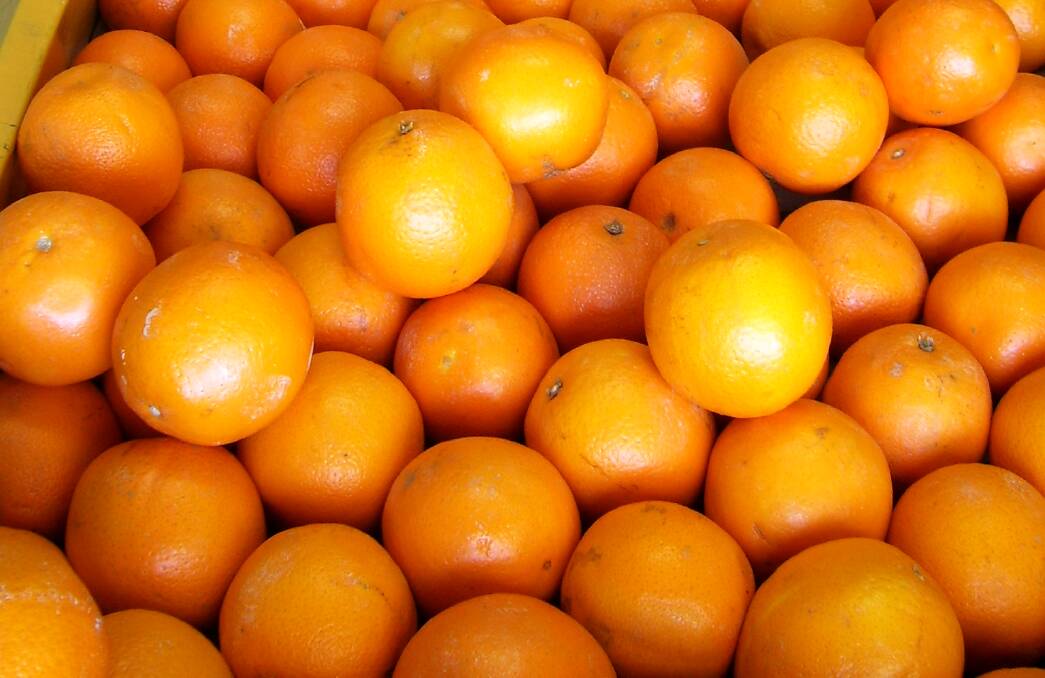 DOWN: Orange exports declined to China which also placed additional pressure on growers, although this was partially offset by increased exports to Hong Kong, Japan, Vietnam and Indonesia, according to Rural Bank. 