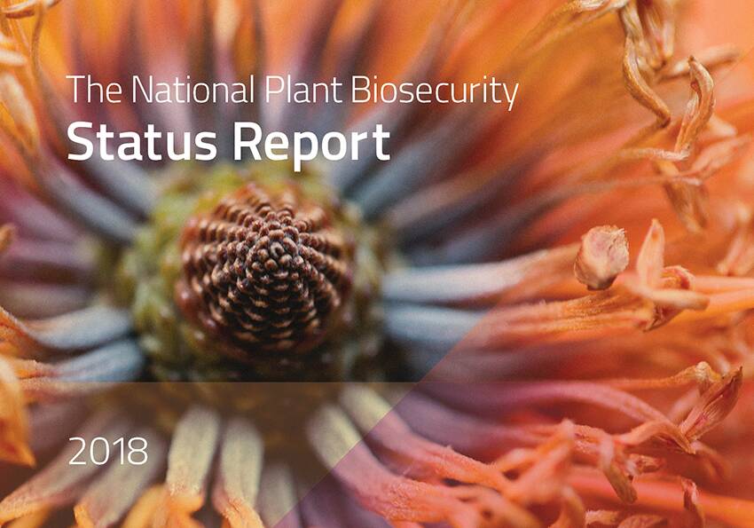 OUT NOW: National Plant Biosecurity Status Report for 2018. Click on the image above to download the report. 