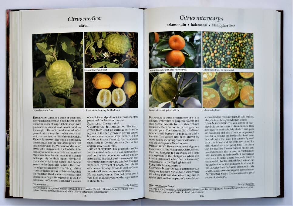 OPEN: Food Plants of the World by Ben-Eric van Wyk, is an accurate scientific and comprehensive overview of plants and their uses. 