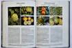 Book covers range of food plants