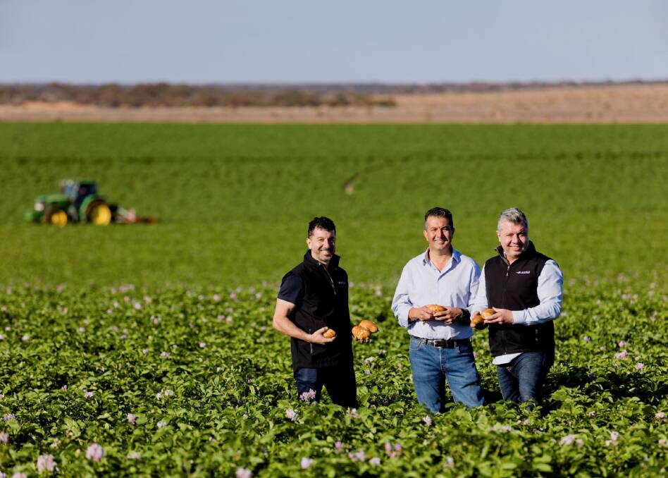 TOP: Darren, John and Frank Mitolo from Mitolo Family Farms, SA who won the 2021 Coles Fresh Produce Supplier of the Year Award. 