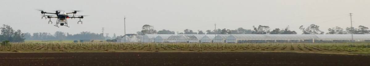 DAWN: This job is applying pre-emergent herbicide before planting zucchinis and soybeans. It was also used to spray-paint the protected cropping structures in the background, in a day, instead of two and a bit weeks with three men using two-thirds more paint.