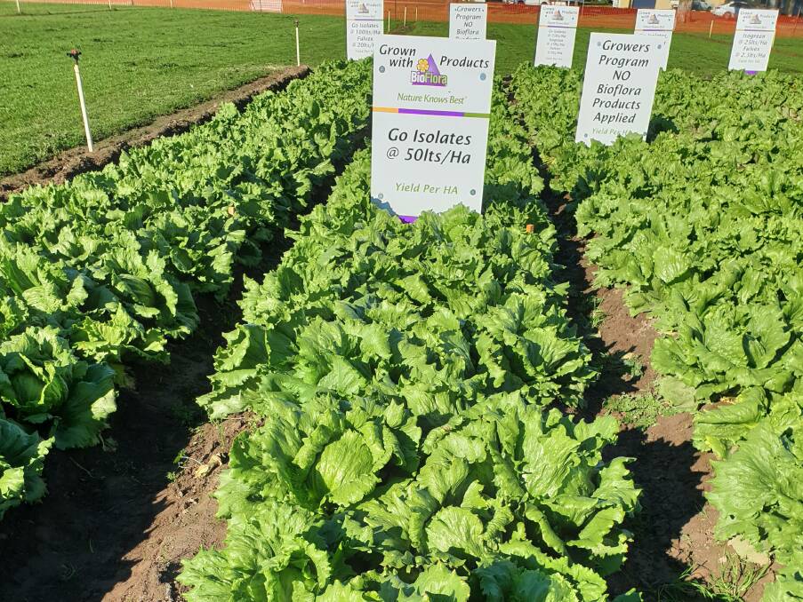 ON SHOW: At the EGVID, BioFlora's demonstration plot showed positive results, particularly from the application of GO Isolates at 50L/hectare.