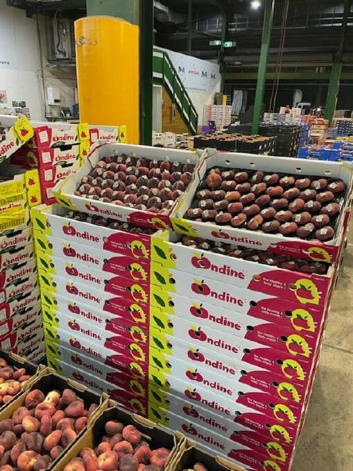 Ondine flat peaches on display at the Sydney Markets. Picture supplied