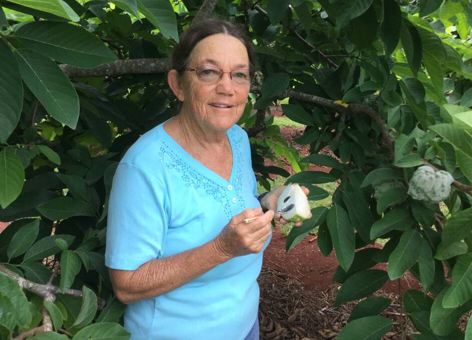 ALL GOOD: Custard apple grower, Patti Stacey, says the industry has experienced a near-to-perfect season. 