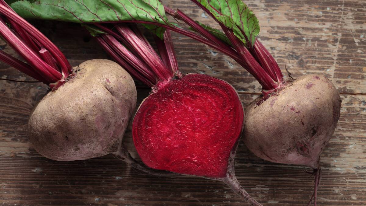 POTENTIAL: The Lockyer Valley's beetroot industry could be revitalised if a new vegetable processing facility gets off the ground this year. Picture: Shutterstock. 