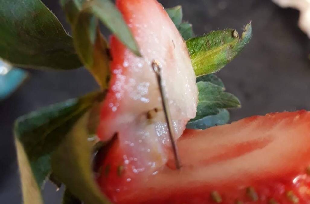 INSIDE: An example of one of the needles found in a strawberry. 