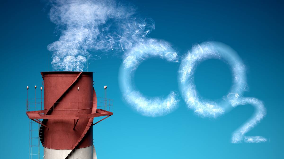 REQUIRED: Despite often being labelled as the enemy of the environment, carbon dioxide is required for plant growth, including agricultural crops. Picture: Shutterstock.