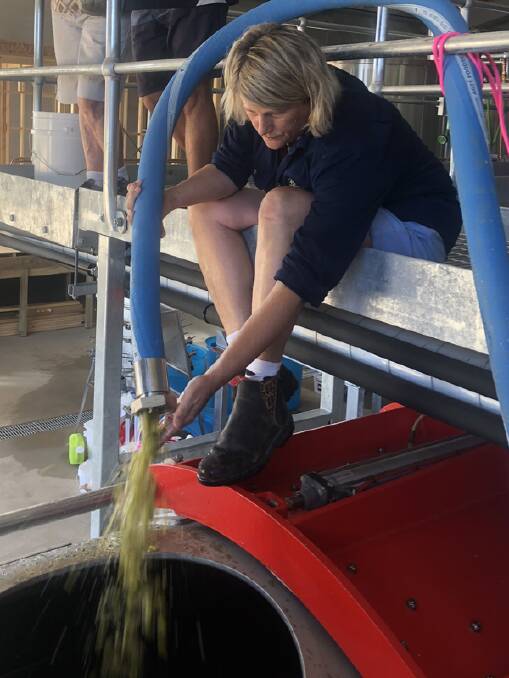 PROGRESS: Liz Heidenreich works with some of the Eyre Peninsula's first white grapes of the 2020 vintage.