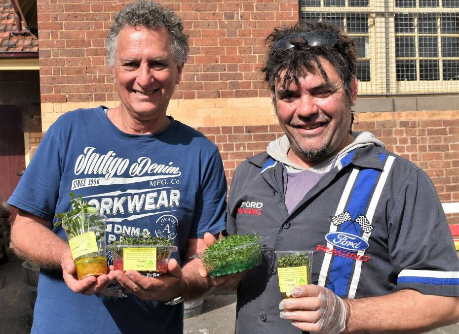 READY: The brains behind Burst Microgreens, Norm Larcombe and John Fitzgerald, with examples of their packed and ready products.