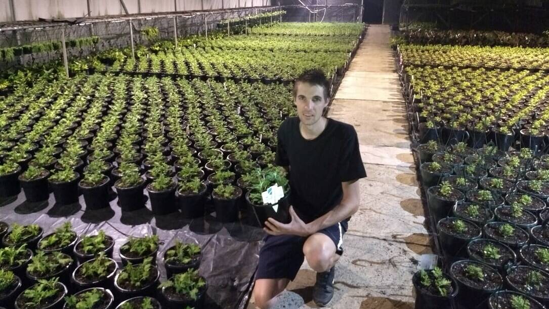 ACTION: Mark Smith is utilising the knowledge gained through his TAFE Digital Diploma of Horticulture to boost productivity levels of environmentally sustainable plant, fruit and vegetable crops in hydroponic production.