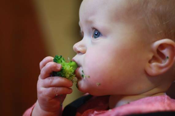 GREEN TREAT: Charlie, granddaughter of the author, tucks into some broccoli as a treat; a rare example of a child being rewarded with vegetables.