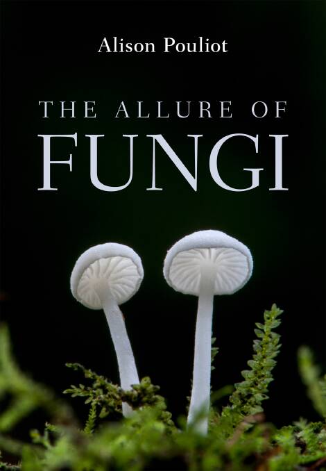 Fungi fascination leads to book