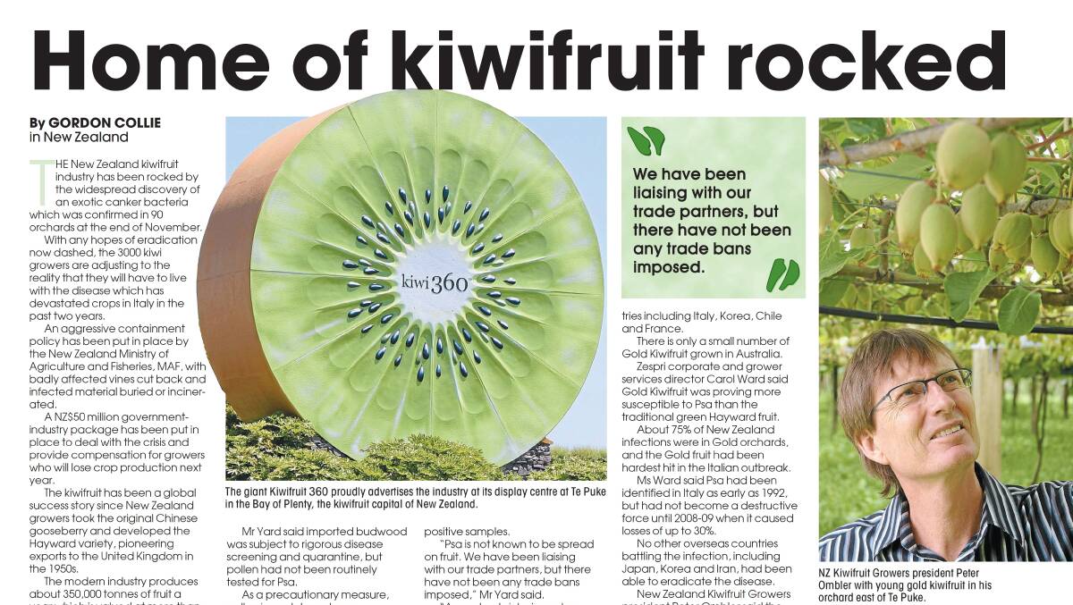 TROUBLE: New Zealand kiwifruit growers went into crisis mode after the discovery of Psa disease in 2010. 
