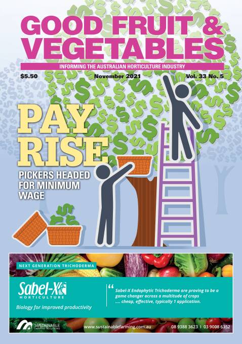ON THE COVER: Horticulture workers may soon be paid a minimum wage. Read the industry's reactions on p6-7. Picture: Shutterstock.