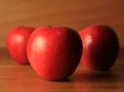 LOUD: Officially the world's crunchiest apple, the SweeTango is being grown in Australia and is available for consumers.