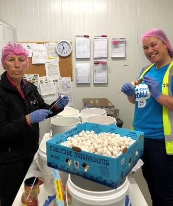 HELPING: Mushroom growers around the country took part in National Mushroom Day. 
