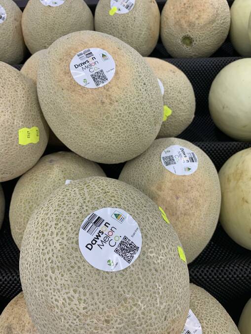 JOURNEY: Whole melons were traced from their origins on the farm at Red Rock, Victoria through to the consumer's basket. 