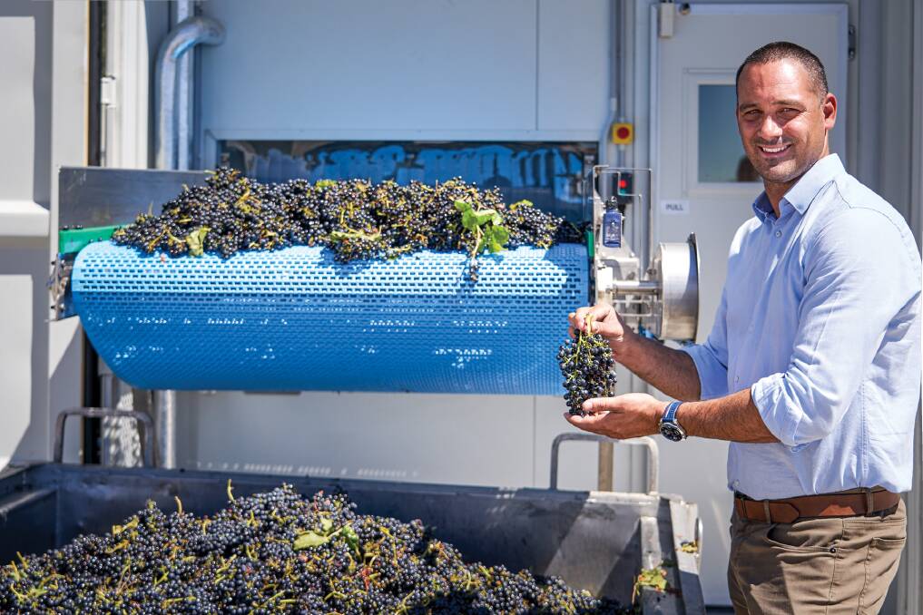 COOL: RECS Australia's managing director Daniel Caruso inspecting a cooling trial on grapes which went from a core temperature of 37°C down to just 7°C in 13 minutes. 