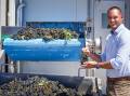 COOL: RECS Australia's managing director Daniel Caruso inspecting a cooling trial on grapes which went from a core temperature of 37°C down to just 7°C in 13 minutes. 