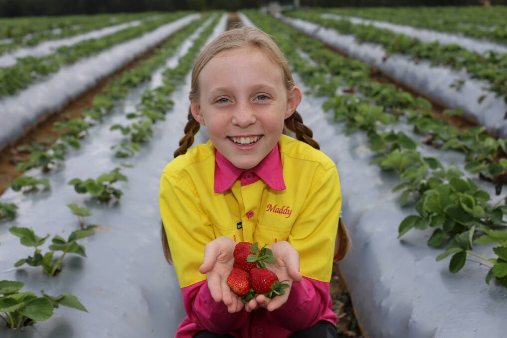 OPEN: Maddy Schulz, LuvaBerry, Wamuran, Qld celebrates the winter strawberry season on the family farm. 