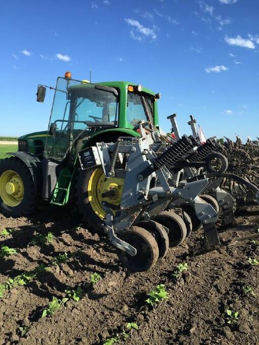 CUTTING: A GPS guided high speed solid shank knife weeder, at Illinois, USA. The image shows the knives set up on 30-inch centres for weeding black beans. There is a straight disc leading the knives designed to cut through any trash so that the soil can flow through the knives correctly.