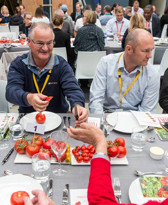SNACK ON: Attendees sampling tomatoes at this year's De Ruiter Living Proof Tomato Innovation Day where they heard about consumers' preferences. 