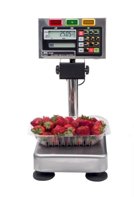 FASTER: The accuracy of a packing line can be increased with the use of user-friendly scales. 