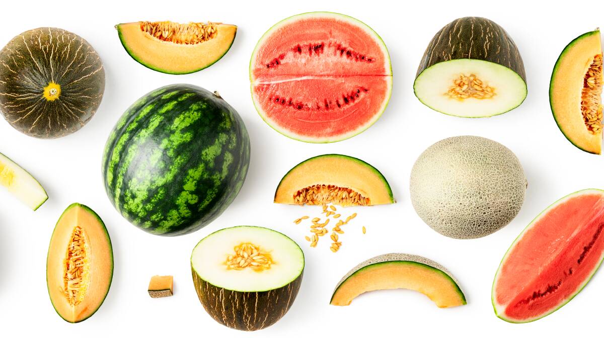REACH: For those that don't already know about the organisation, Melons Australia is the peak industry body for the melon industry in Australia.