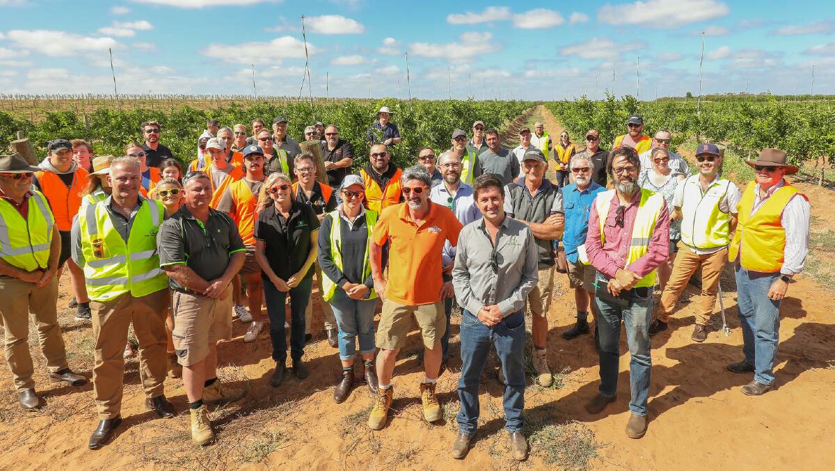 Citrus Australia Market Outlook Forum 2023 participants on one of the farm tours under pristine Mildura weather. Picture supplied