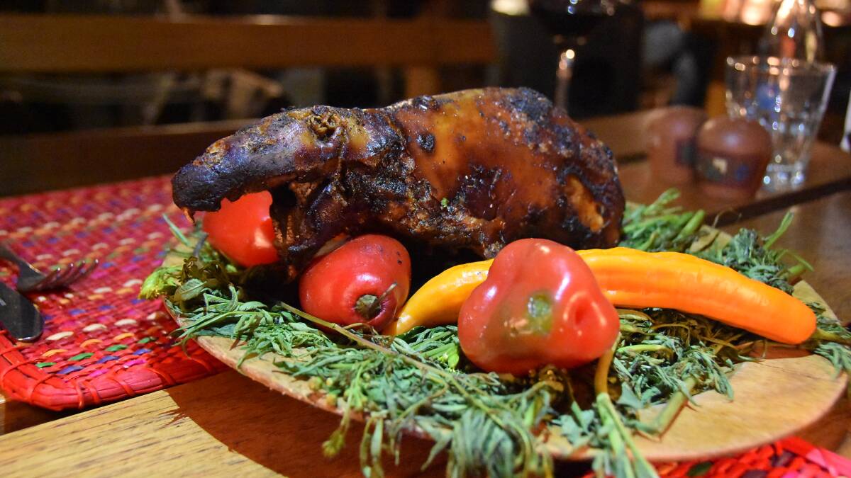 READY: Roasted guinea pig (cuy) is a speciality on Peruvian menus. It is brought out for a photograph first before being taken away to be carved up and served. 