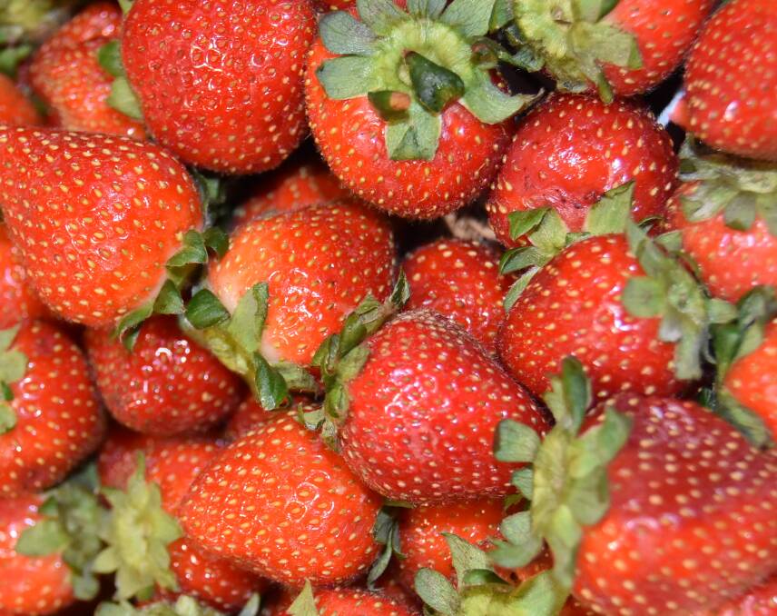 Brisbane Markets says strawberries are safe