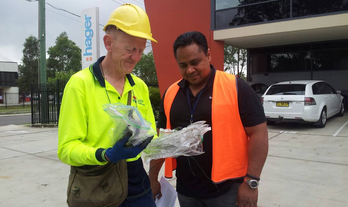 ON TASK: Greater Sydney Local Land Services plant biosecurity officer, Martin Horwood, with Glendenning warehouse manager, John Matakaiongo, who initially reported the discovery of the bug.