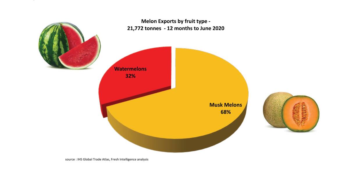 POTENTIAL: Australian Melon Exports by type July 2019 to June 2020, taken from the Australian Melon Export Report presented in November 2020.
