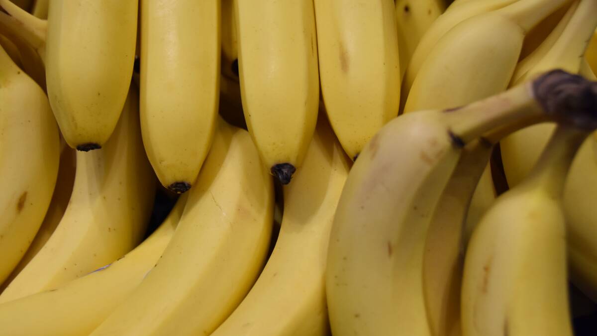 Kiwifruit Psa saga has lessons for banana industry
