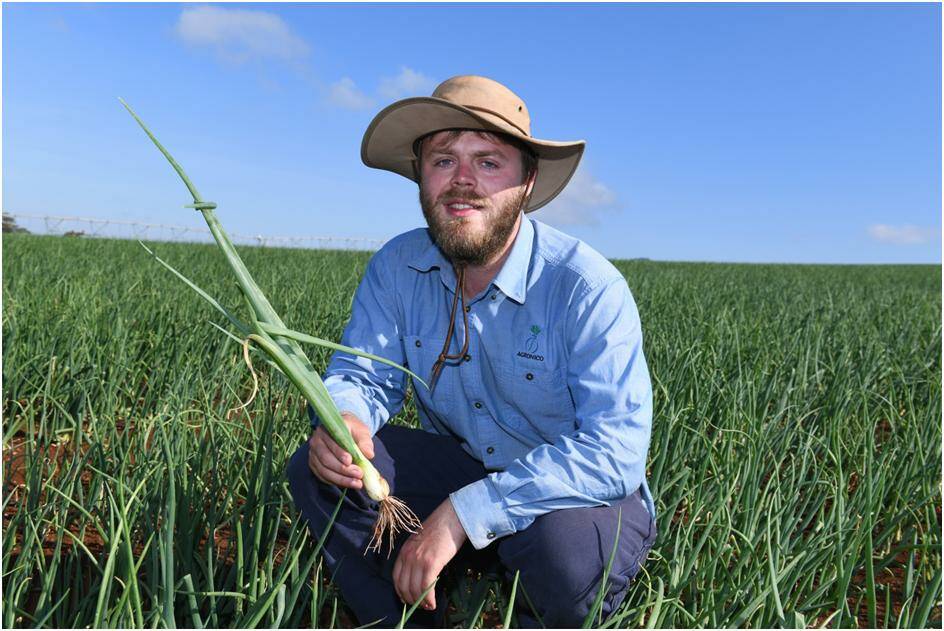 GROWTH: Agronico agronomist Peter Targett, Devonport, Tasmania, said Fontelis fungicide formed the backbone of controlling botrytis and helping produce quality onions.
