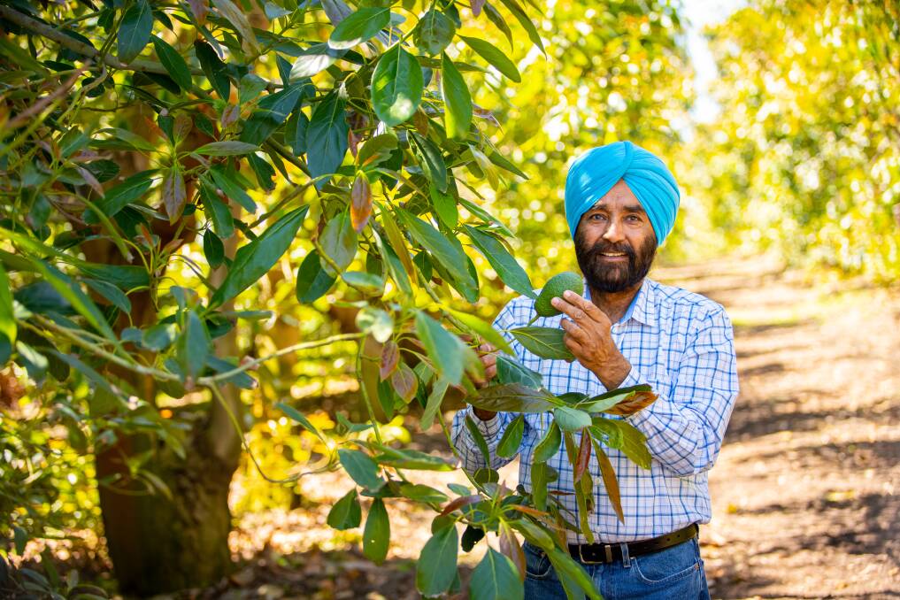 OUTLOOK: The new major in ECU's Bachelor of Science course has been developed by internationally recognised horticulture expert Professor Zora Singh who joined the university this year.