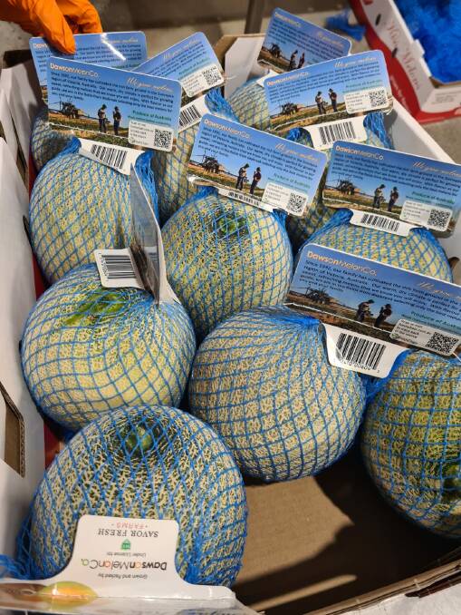 FOLLOWING: Melons were traced from the farm in Victoria through to their final destinations in Canada and the United Kingdom. 