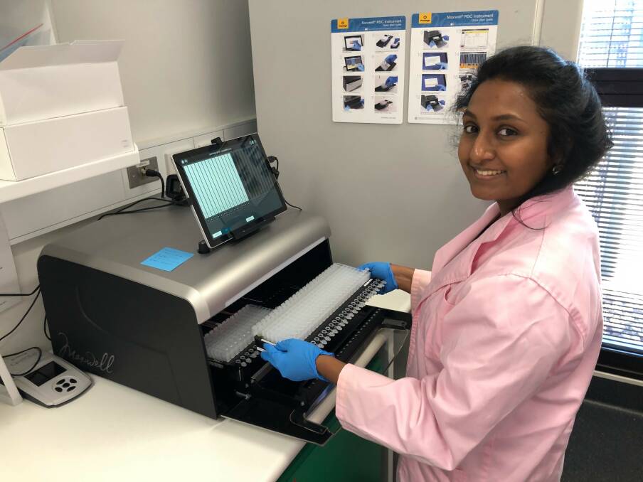 Dr Ruvini Lelwala prepares RNA samples for high throughput sequencing. Picture supplied
