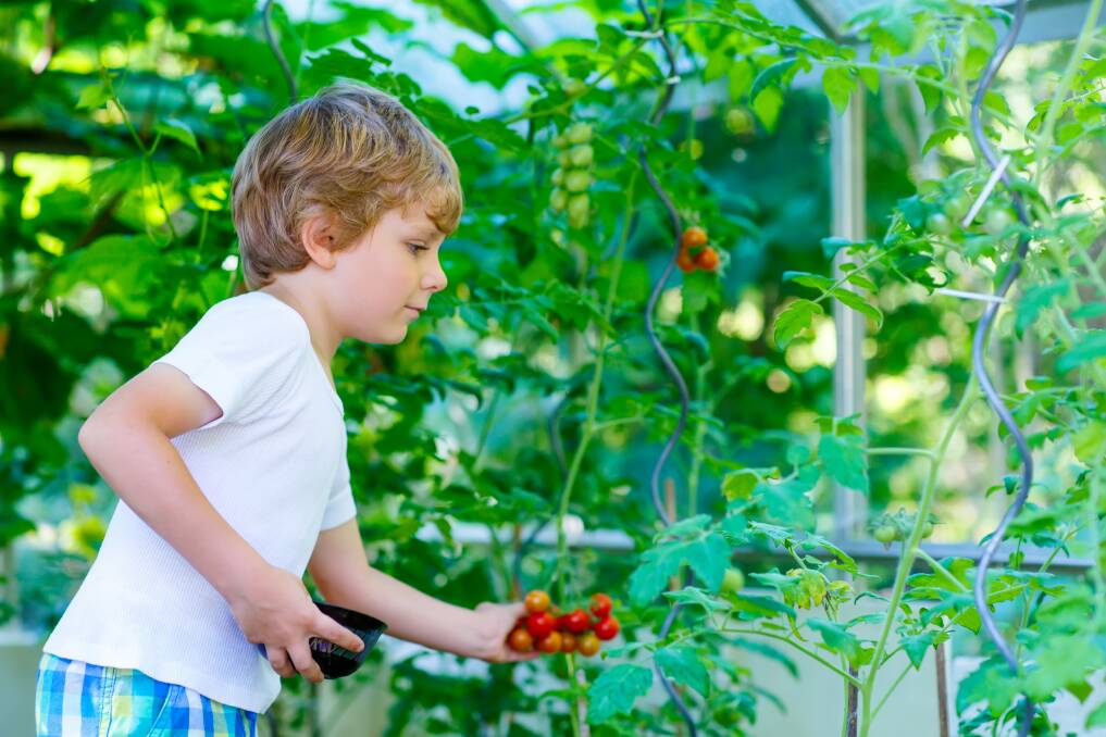 LEARNING: Connecting children to agriculture, usually through food, is an important part of early education. Photo: Shutterstock. 