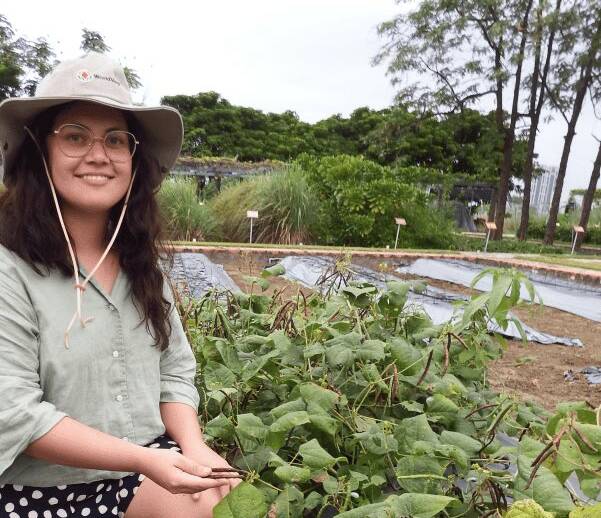 University of Queensland PhD student, Shanice Van Haeften, inspecting mungbeans, the focus of her PhD research, while at the World Vegetable Centre in Taiwan. Picture supplied